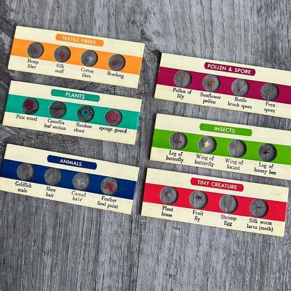 Prepared slide specimens, set 1 and set 2 Learning Resources Science - Picture 7 of 8